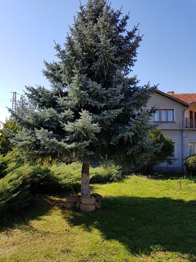 Къща За Гости Садово Guest House Sadovo Εξωτερικό φωτογραφία